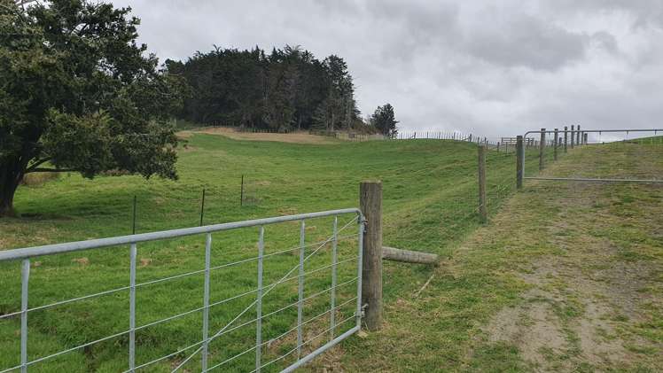 4 Kendall Road Maungakaramea_23