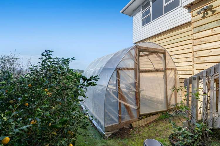 11 Gavinike Place Waimauku_29