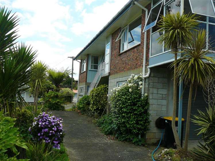 12 Claremont Avenue Paeroa_6