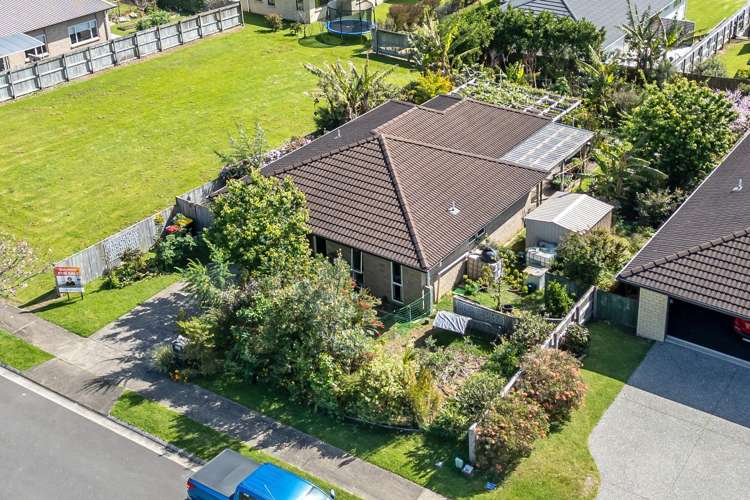 100 Greenhills Drive Coromandel_8