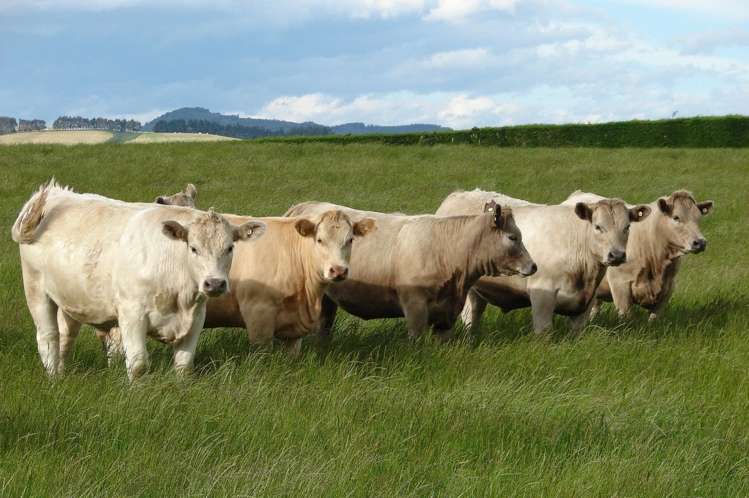 389 Mckenzie Road Winton Surrounds_8