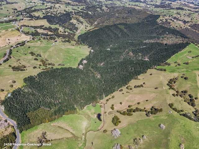 Address withheld Whangarei Surrounds_4