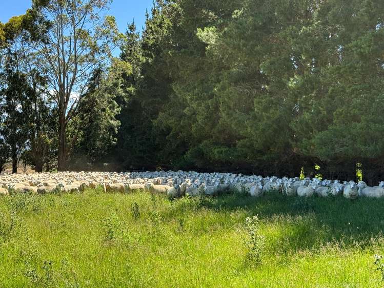 109 Affleck Road Castle Downs_7