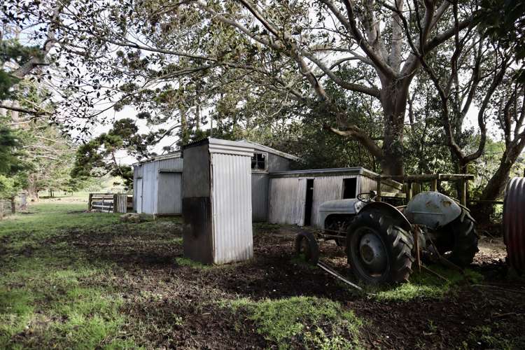 57 Pouto Road Dargaville_29