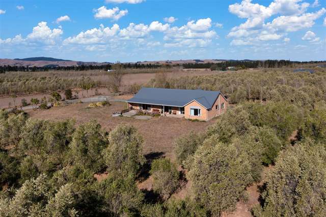 321p Georges Road Amberley_2