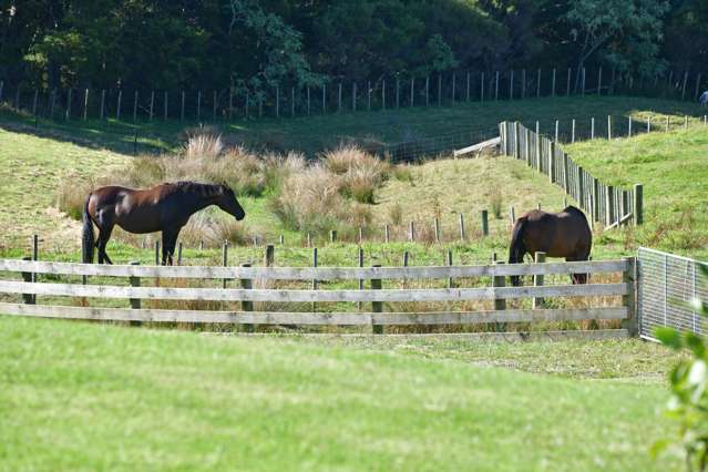 313 Pukapuka Road Mahurangi West_3