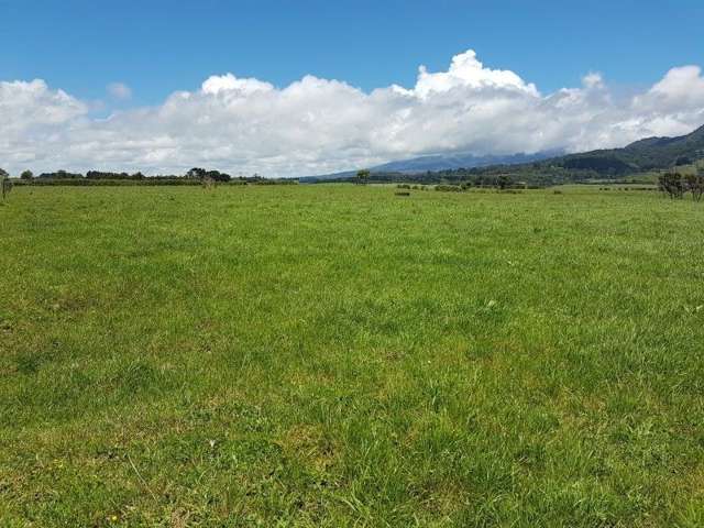 80 Koru Road Omata_1