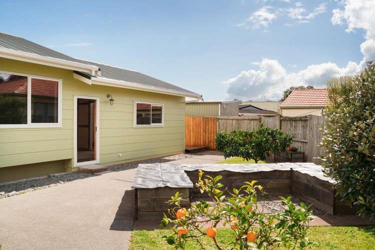 45 Sylvania Drive Matua_20