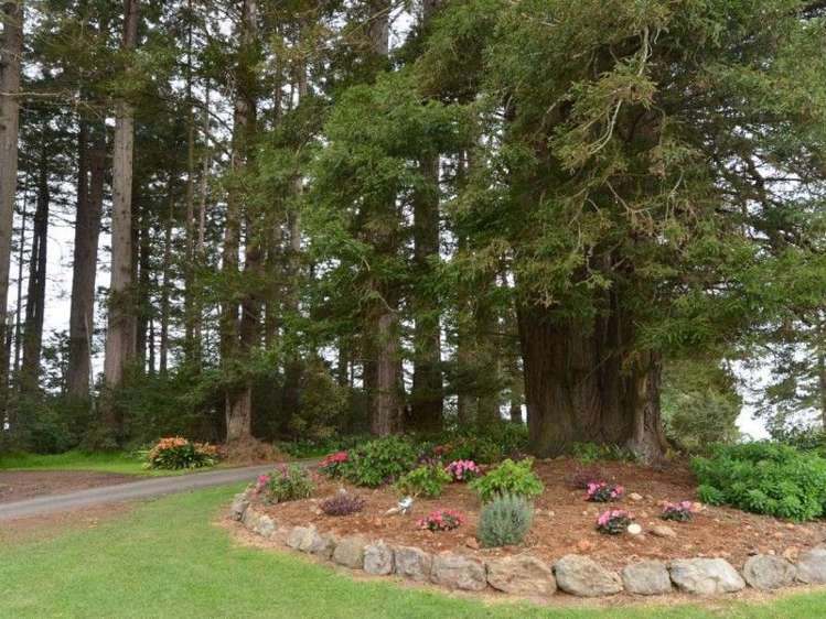 88 Kokopu Block Road Maungatapere_18