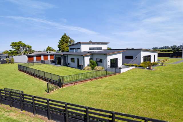 Stunning, Luxurious and Rare!