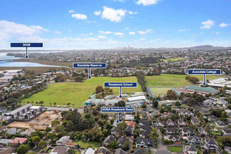 206a Rosebank Road Avondale_20