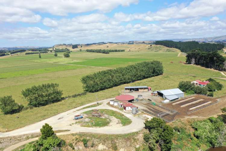 80922 State Highway 2 Pahiatua_22