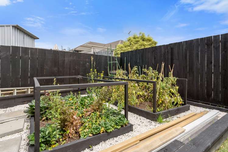 16b Bay Street Red Beach_20