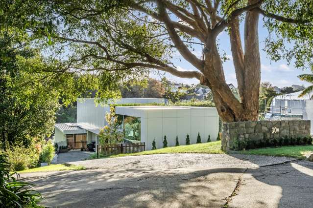 30a Arney Crescent Remuera_3