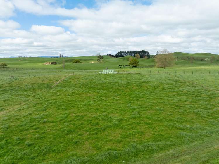 354 Paratu West Road Matamata_31