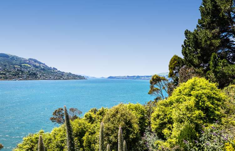 246 Portobello Road The Cove_6