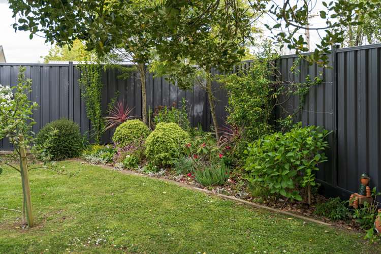 9 Massey Street Greytown_17