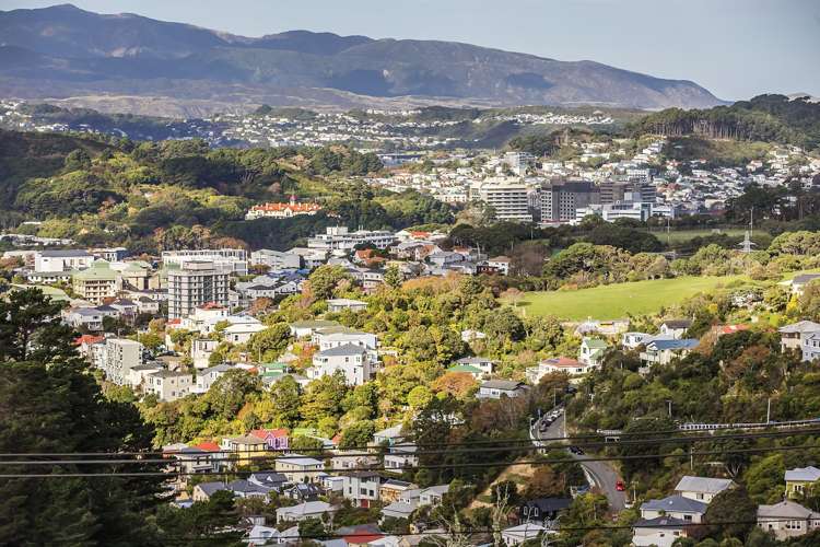 11 Harrold Street Highbury_17