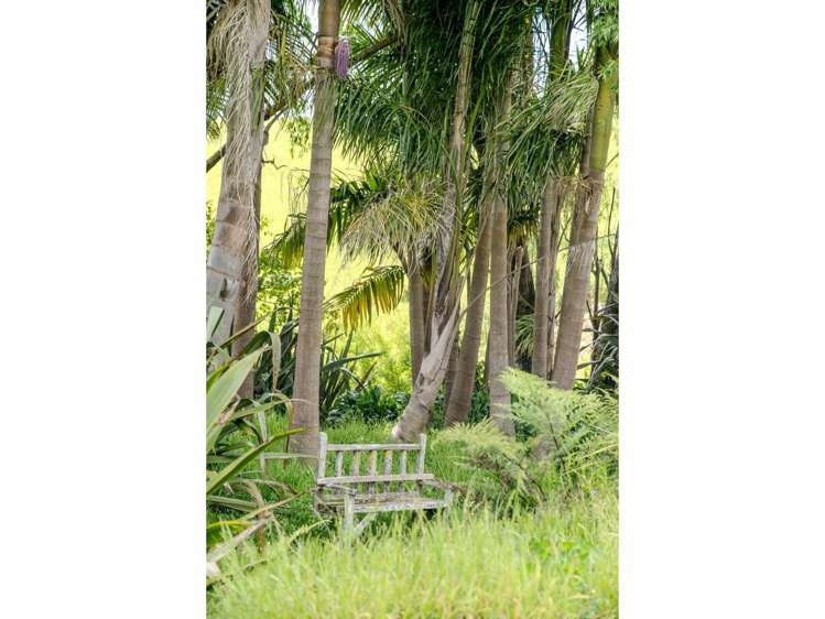 45C Maraenui Drive Kerikeri_30