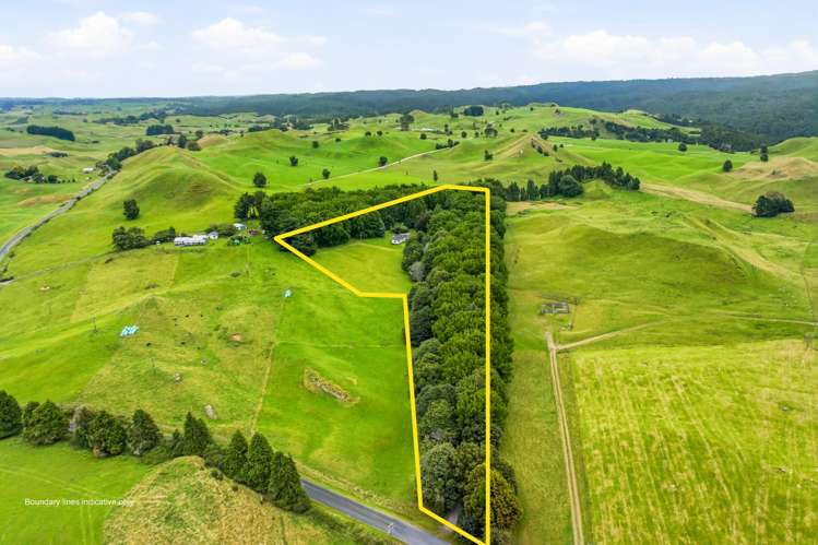 546 Henderson Road Whakamaru_25