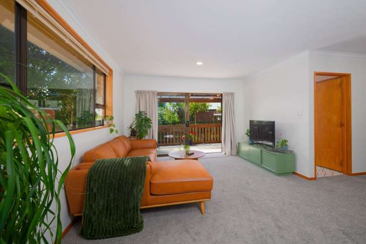 283A Scarborough Street Kaikoura_8