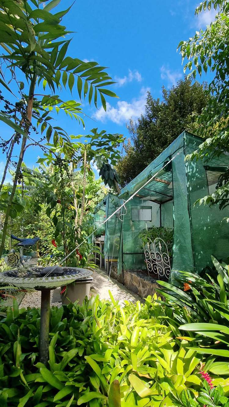 4 Taitapu Street Massey_28