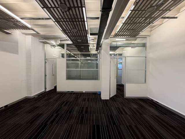 72 Dominion Road Mt Eden_3