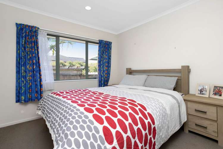 218b Campbell Road Greenlane_12