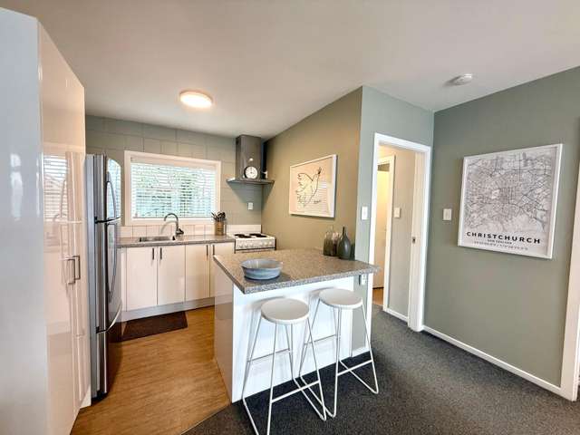  2/58 Papanui Road Merivale_2