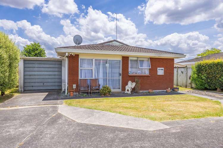 46 Livingstone Avenue Nawton_0