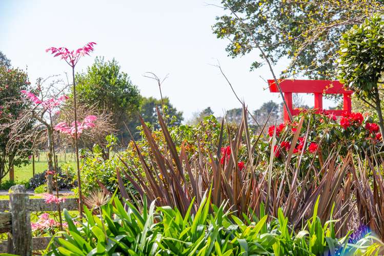 56 Upper Manaia Road Upper Plain_21