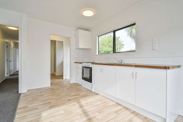 1007c Miro Street Mahora_3