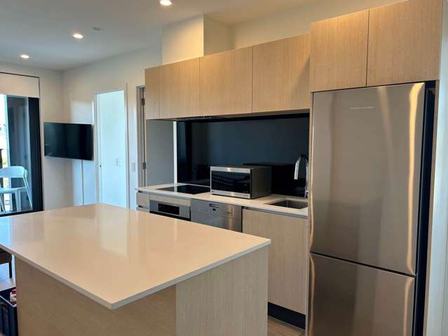 511/428 Dominion Road Mt Eden_1