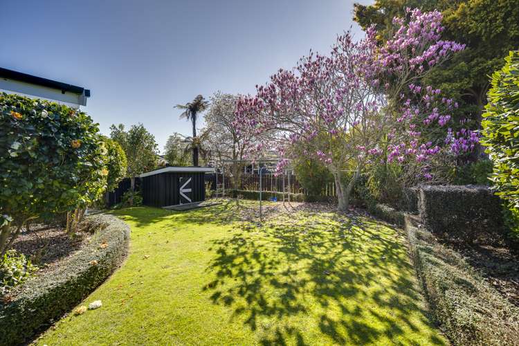 700 Rainbow Avenue Parkvale_13