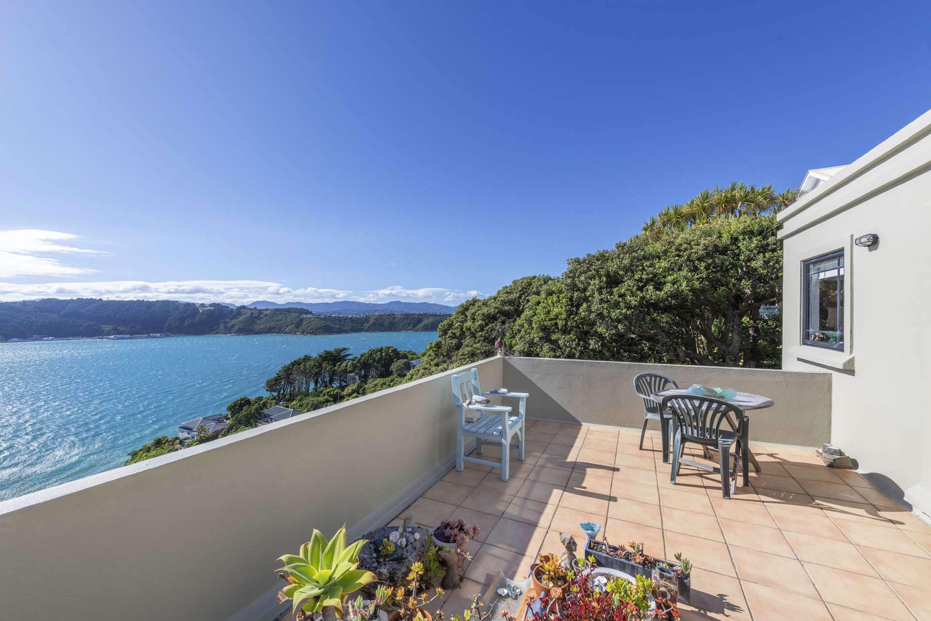 2/79 Grafton Road Roseneath_0