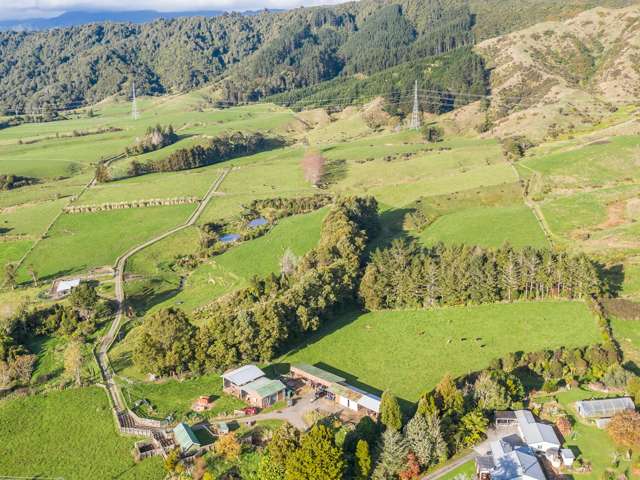 136 Florida Road Ohau_3