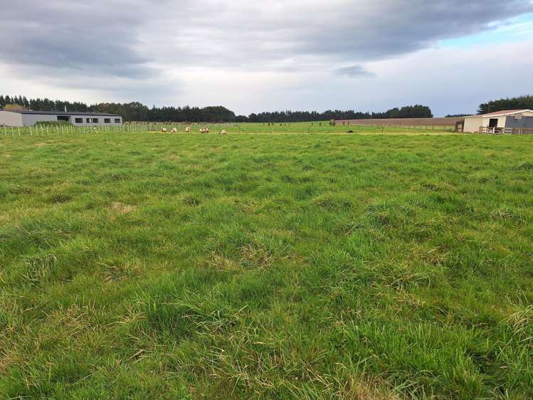 Lot Lot 1/49 Laws Road Dannevirke_6