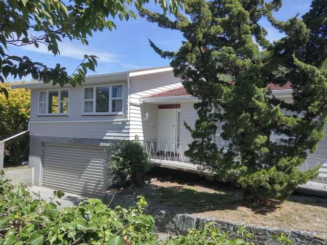 Newly renovated 1960's style home.