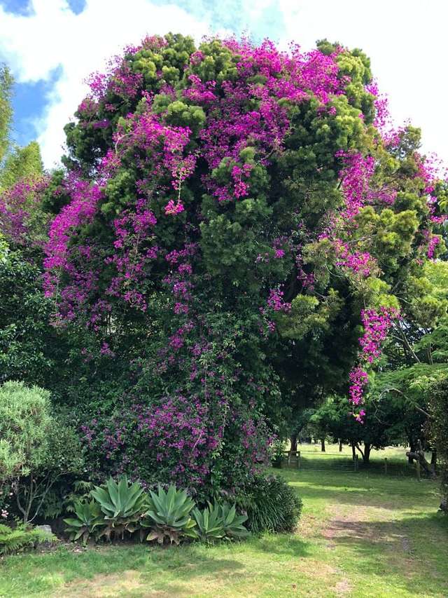 2 West Beach Road Mohaka_3