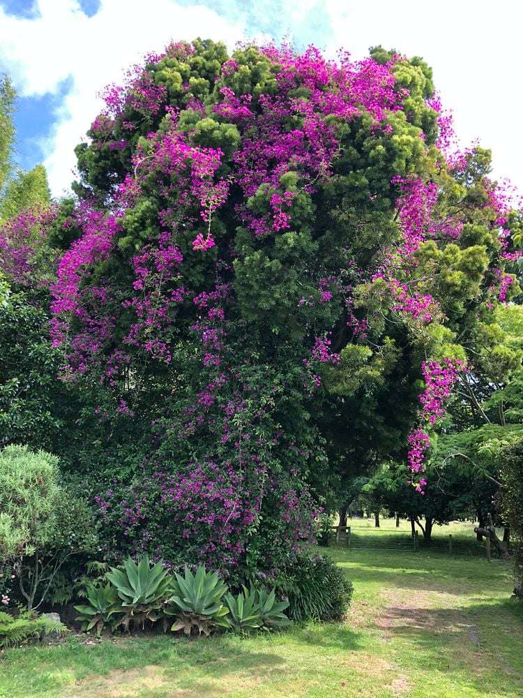 2 West Beach Road Mohaka_3
