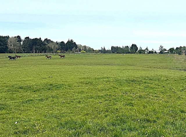 234 Myross Road Myross Bush_1