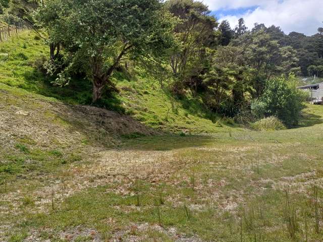 Raglan Road Kawhia_1