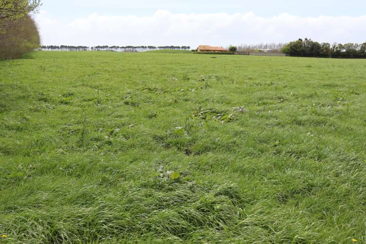 627 Inland North Road Onaero_7