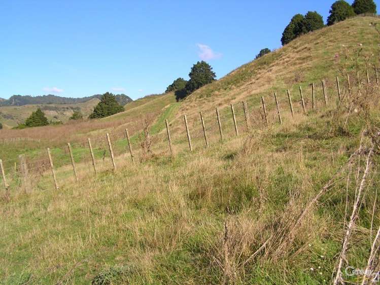 1865 Ohura Road Waimiha-Ongarue_8