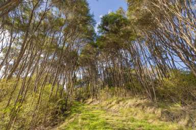 70E Centennial Drive_3