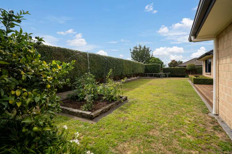 5 Glenroy Place Cambridge_25