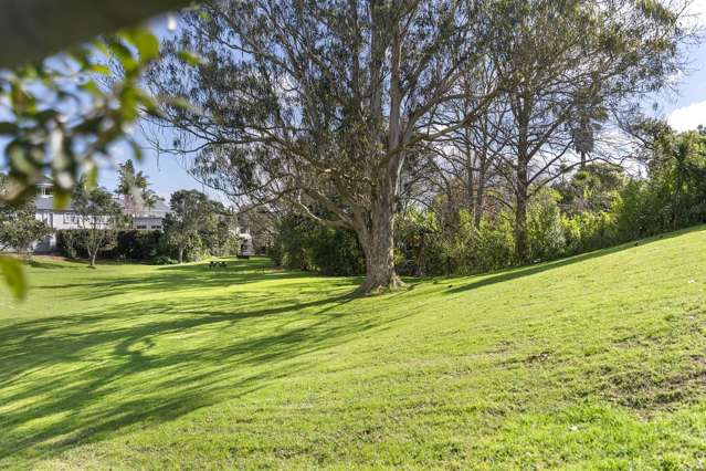 77 Lincoln Street Ponsonby_3