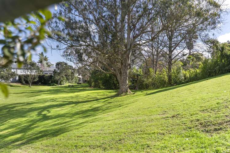 77 Lincoln Street Ponsonby_13