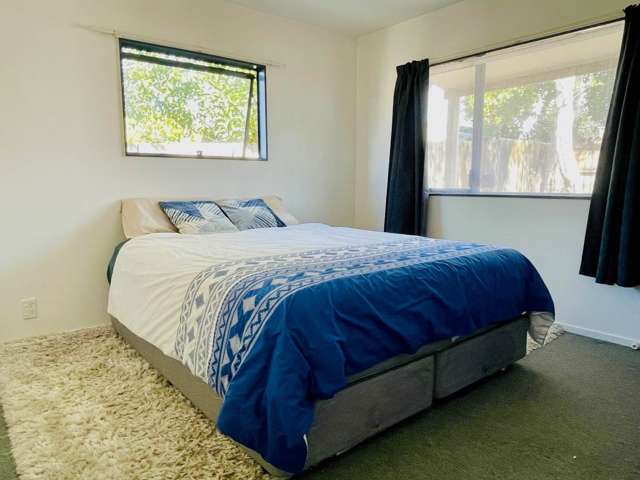 1598B Great North Road Waterview_3