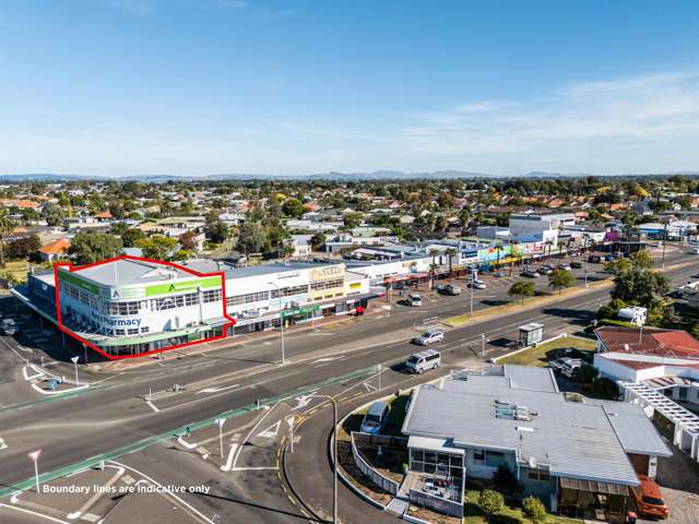 106 Kennedy Road Napier_1